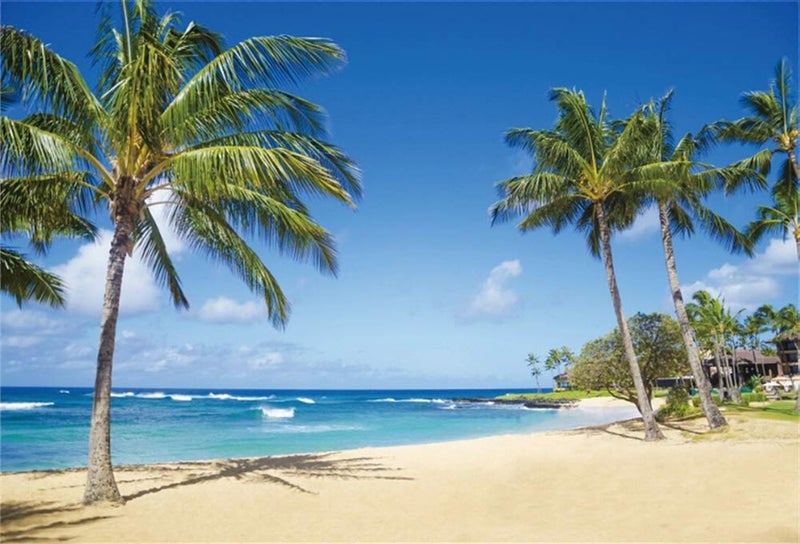 Yeele 10x8ft Seaside Backdrop for Photography Sandy Beach Palm Trees Background Summer Tropical Ocean Outdoors Nature Scenic Kids Adult Holiday Travel Photo Booth Shoot Vinyl Studio Props - Image 1